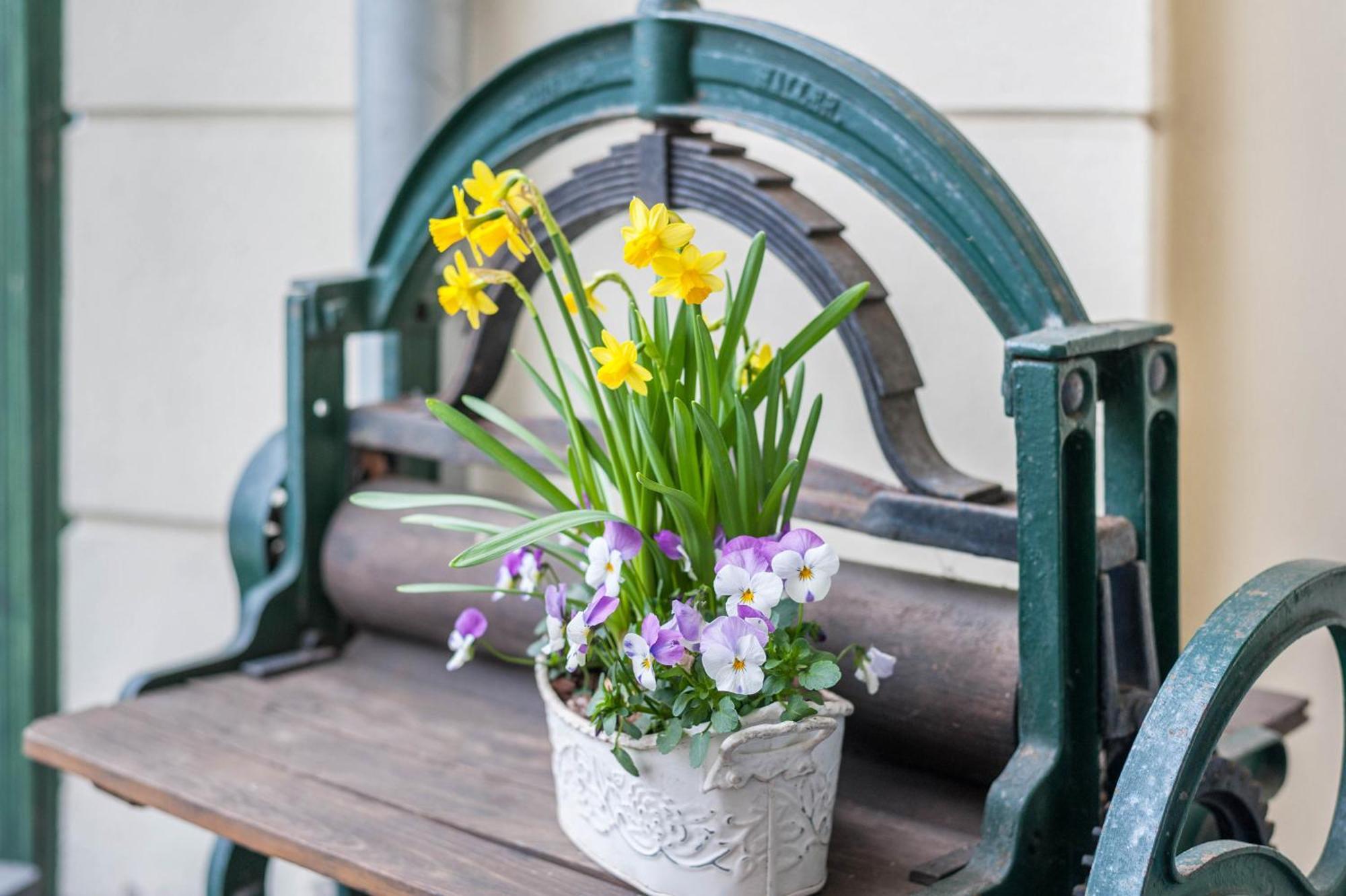 Ostseebad Kühlungsborn Apartment Abendrot מראה חיצוני תמונה